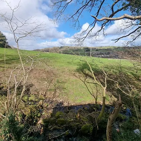 Harewell Wood